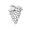 icone vini